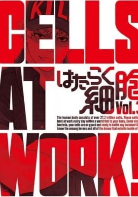 Cells at Work! Specials