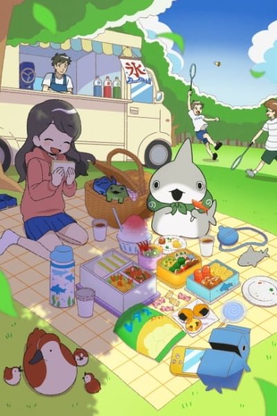 Little Shark's Outings