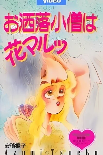 The Fashion Boy is Cool