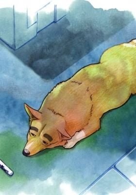 Cowboy Bebop: Ein's Summer Vacation