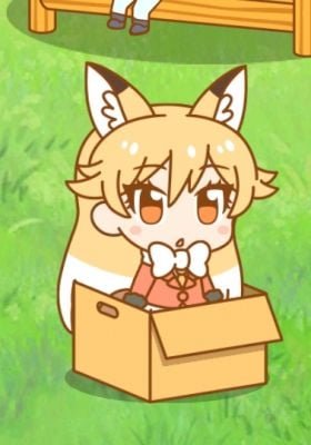 Nissin no Donbei x Kemono Friends