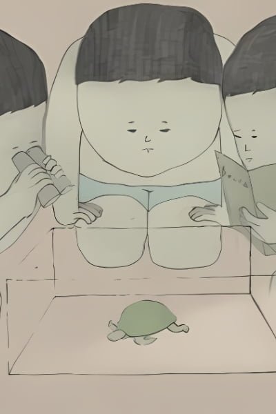 The Mechanism of Spring